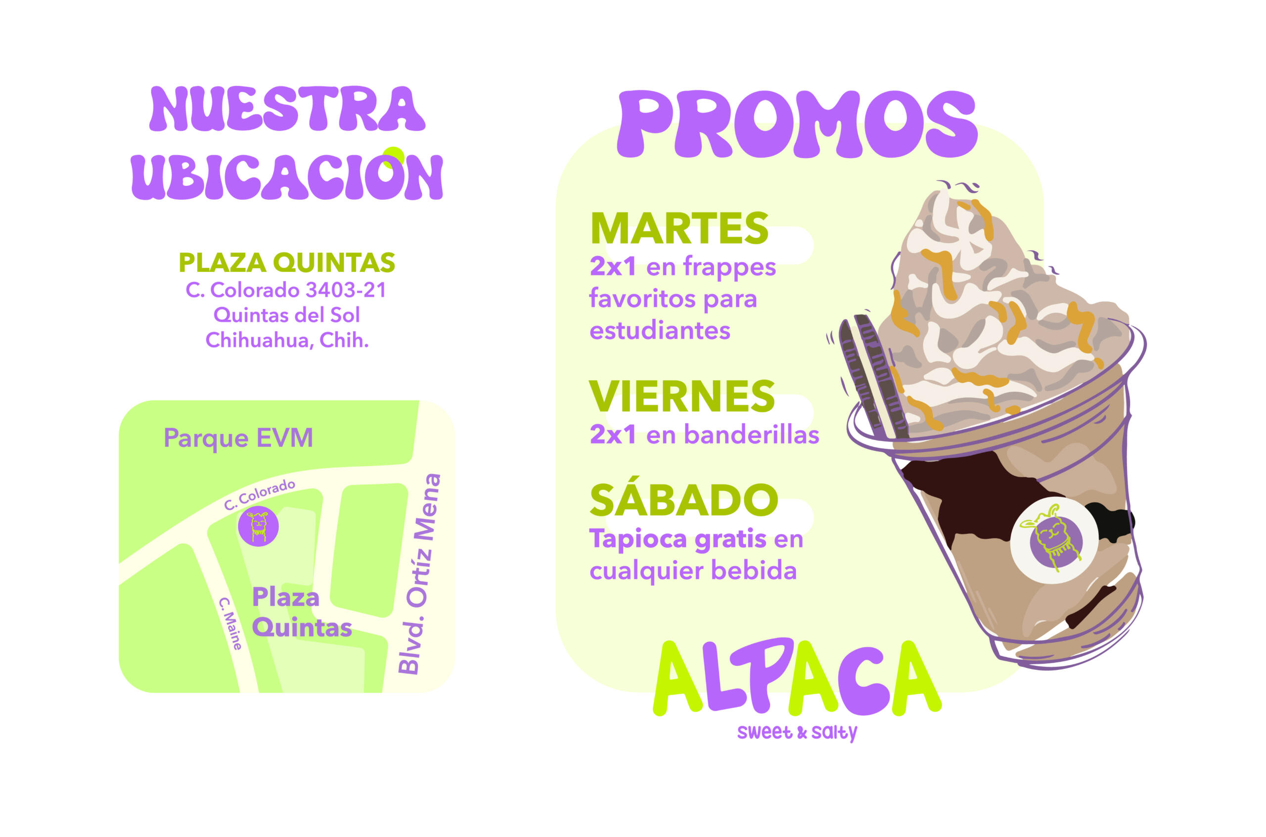 Alpaca3